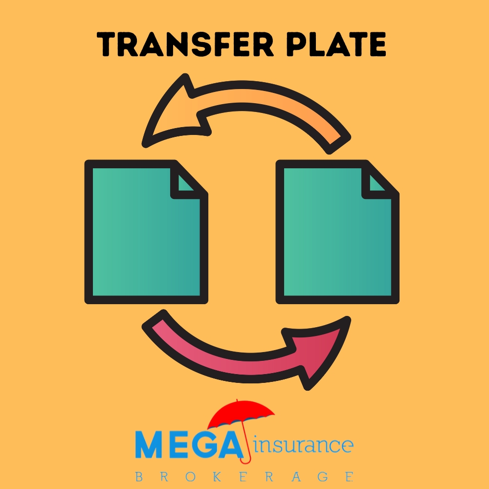 TLC Plate Transfer