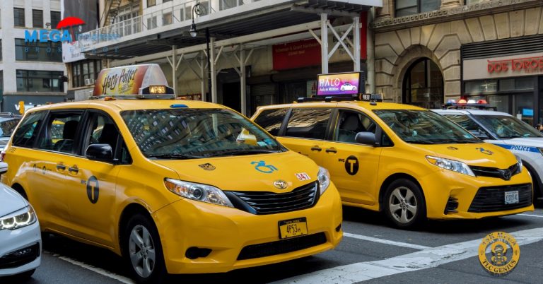 TLC Mandatory Decals